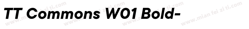 TT Commons W01 Bold字体转换